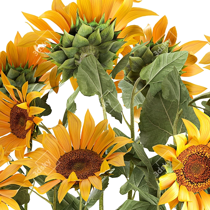 Rustic Sunflower Collection 3D model image 4