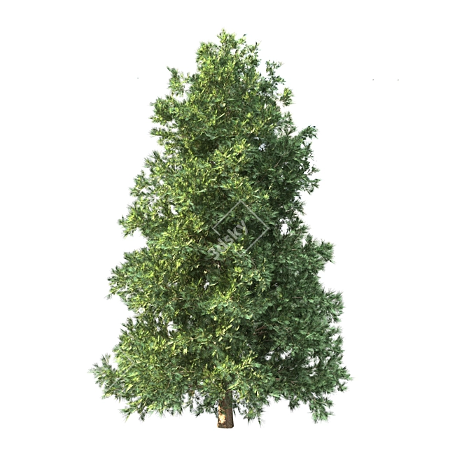3 Pine Trees for Landscaping 3D model image 2