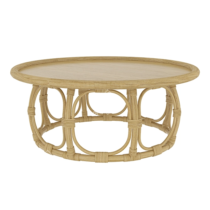 Anguilla Rattan - Realistic 3D Model 3D model image 1