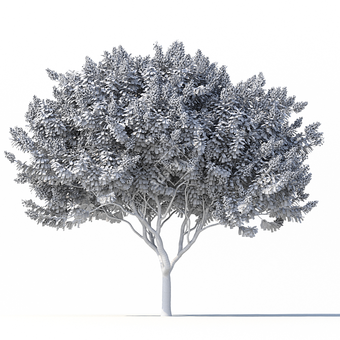 3D Crape Myrtle Tree with Flowers 3D model image 5