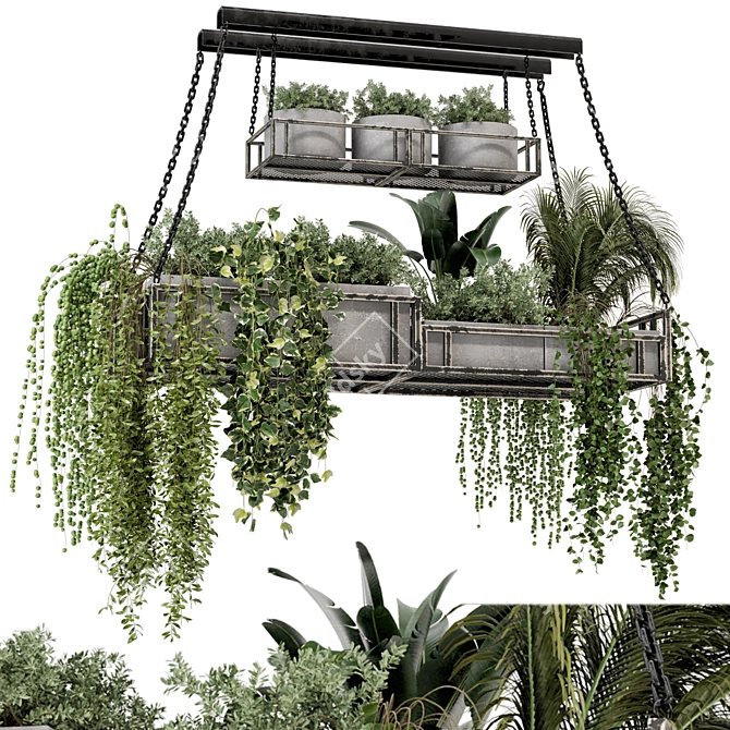 Metal Box Hanging Plants 3D model image 2