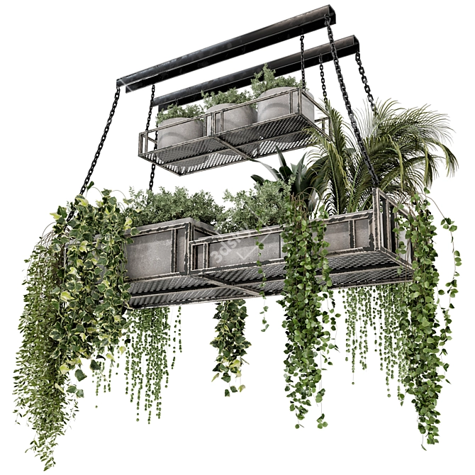 Metal Box Hanging Plants 3D model image 5