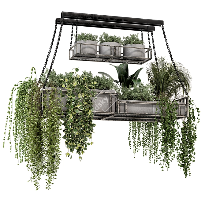 Metal Box Hanging Plants 3D model image 6