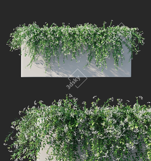 Trachelospermum Jasminoides: Stunning Floral Ornament 3D model image 1