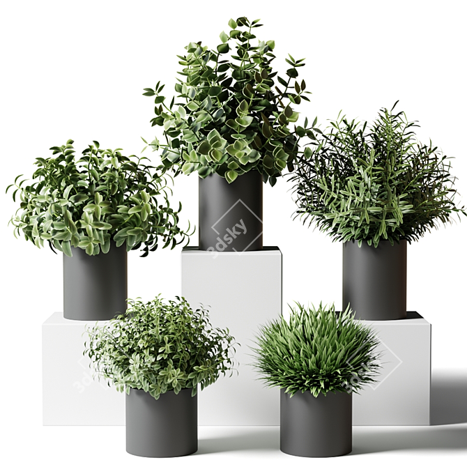 Kitchen Greenery: Small Indoor Plants in Stylish Pots 3D model image 1