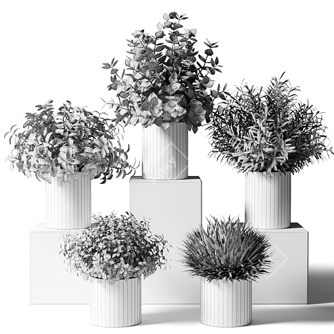 Kitchen Greenery: Small Indoor Plants in Stylish Pots 3D model image 2