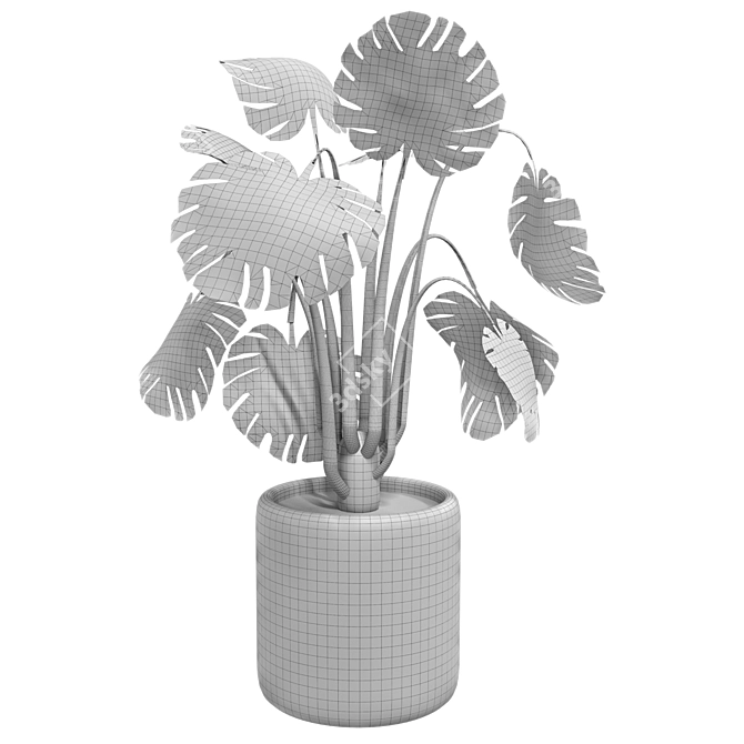 Botanical Bliss: Plant Collection 1 3D model image 3