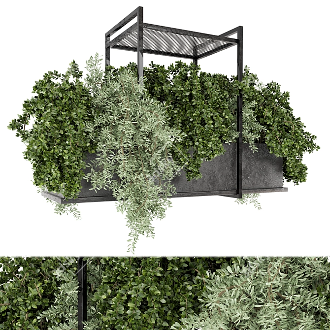 Metal Box Indoor Hanging Plants Set 3D model image 1