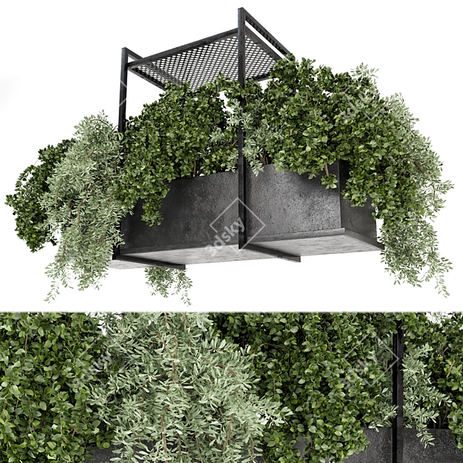 Metal Box Indoor Hanging Plants Set 3D model image 2