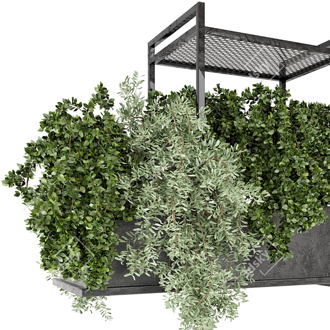 Metal Box Indoor Hanging Plants Set 3D model image 3
