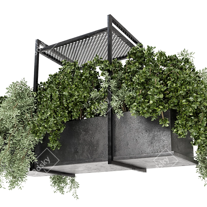 Metal Box Indoor Hanging Plants Set 3D model image 4