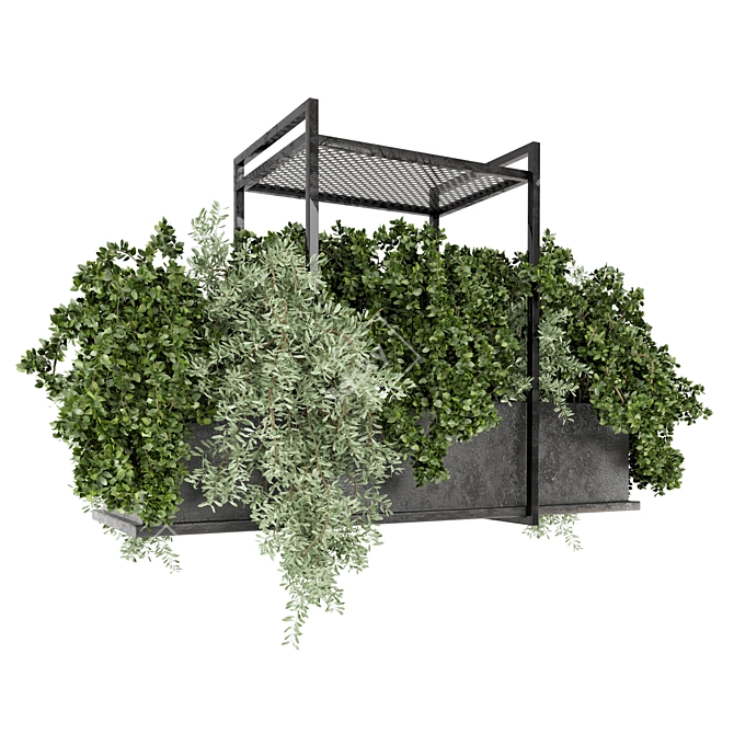 Metal Box Indoor Hanging Plants Set 3D model image 5