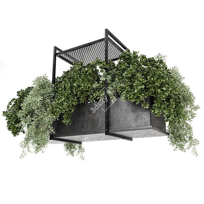 Metal Box Indoor Hanging Plants Set 3D model image 6