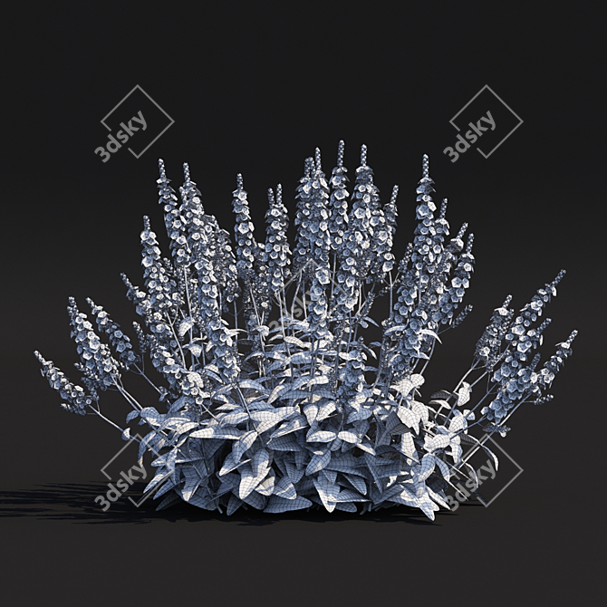 Snowhugel Sage Flowers | Salvia nemorosa 3D model image 5