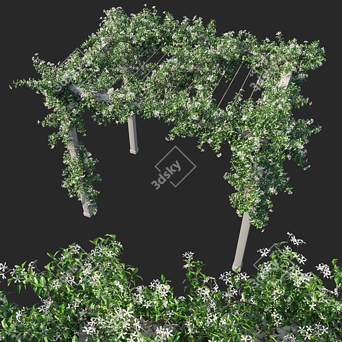 Trachelospermum Jasminoides 02: Detailed 3D Model 3D model image 1