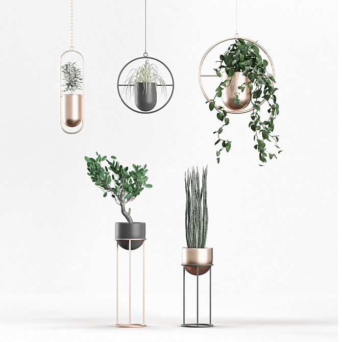 Modern Indoor Planters | Hanging & Standing | 5 Varieties 3D model image 1