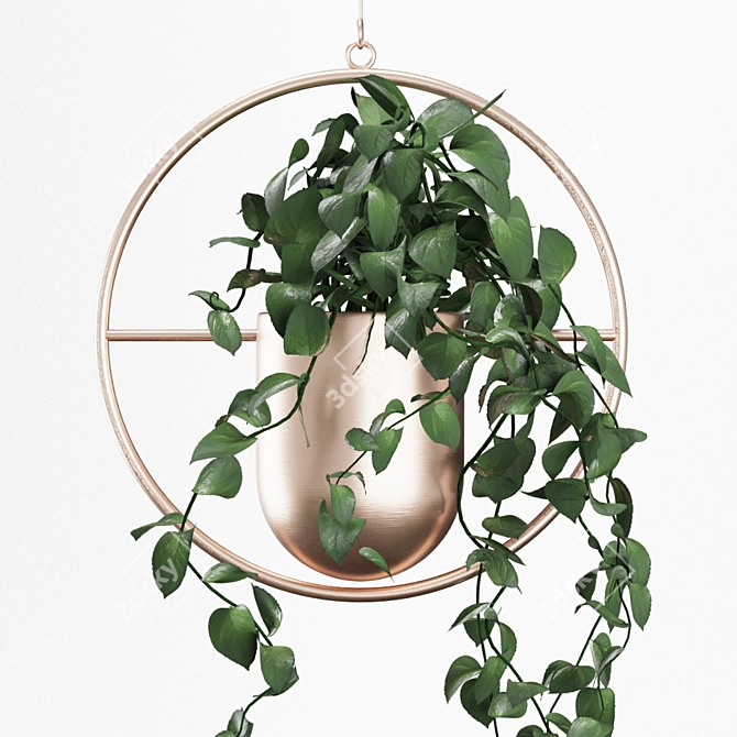 Modern Indoor Planters | Hanging & Standing | 5 Varieties 3D model image 2