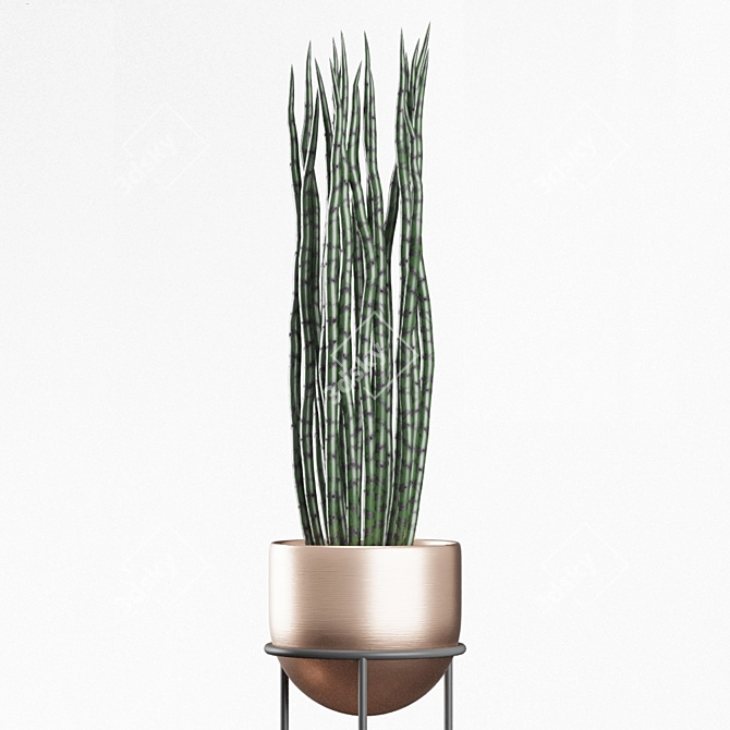 Modern Indoor Planters | Hanging & Standing | 5 Varieties 3D model image 3