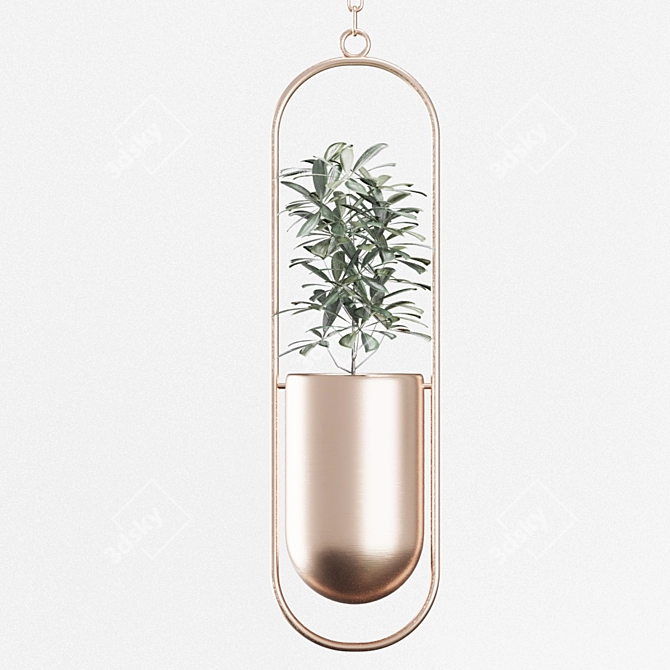 Modern Indoor Planters | Hanging & Standing | 5 Varieties 3D model image 6