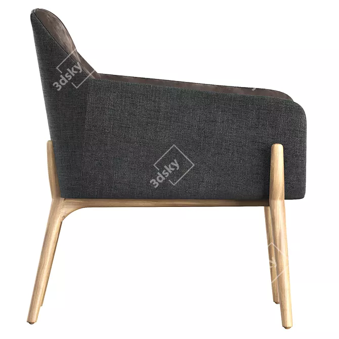 Nido Lounge Chair: Modern Comfort for Your Space 3D model image 3