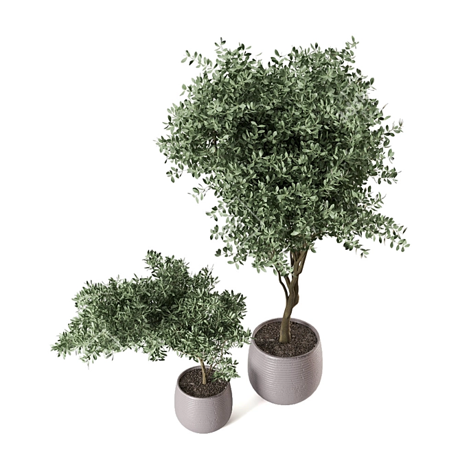 Green Oasis Indoor Plant Set 3D model image 2