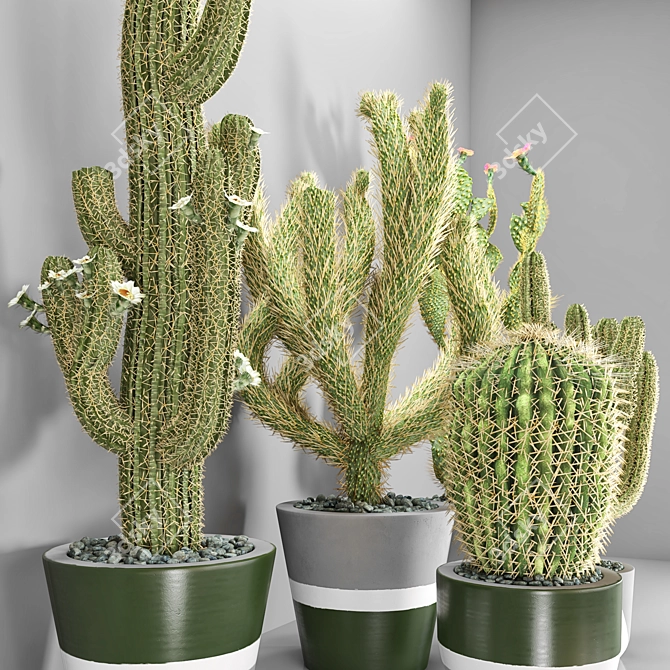Decorative Cactus Vase | Indoor Plant 3D model image 2