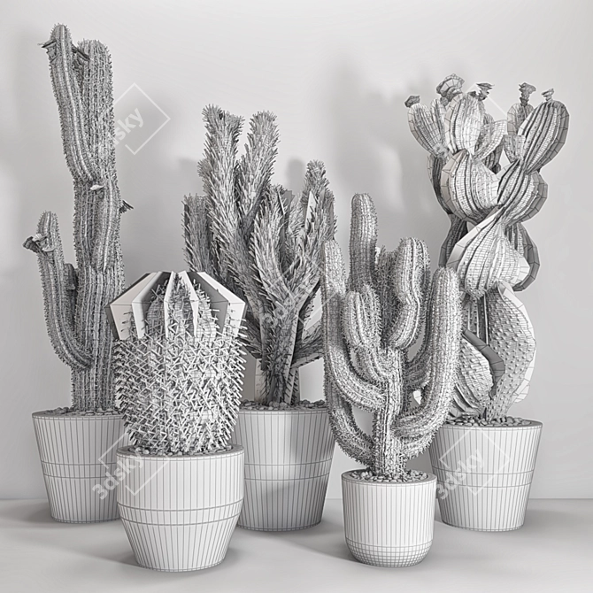 Decorative Cactus Vase | Indoor Plant 3D model image 3