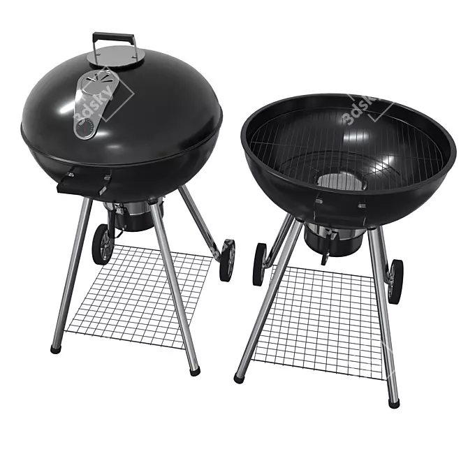 Napoleon Rodeo Charcoal Grill 3D model image 1