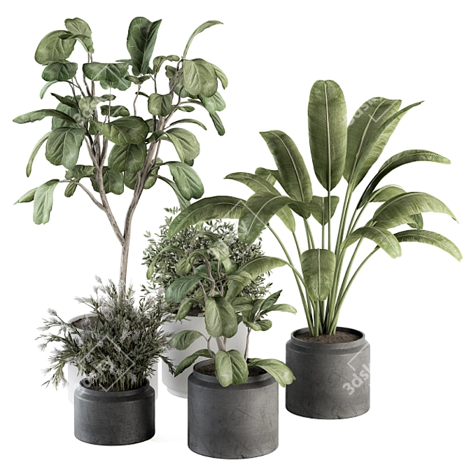 260 Indoor Plant Set - Pot Included 3D model image 1