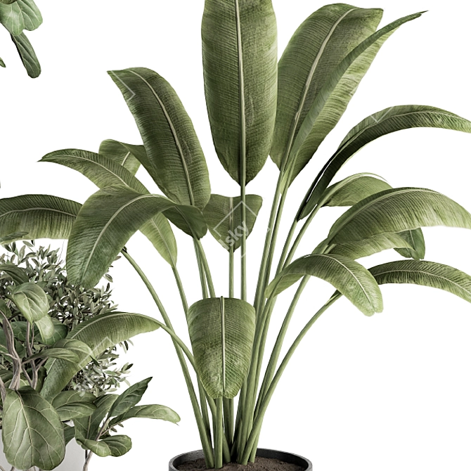 260 Indoor Plant Set - Pot Included 3D model image 4