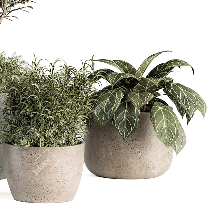 Big Outdoor Plant Set - Pot 3D model image 3