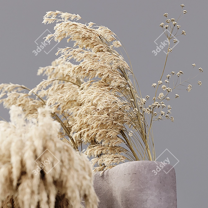 Desert Oasis: Dried Flora 3D model image 2