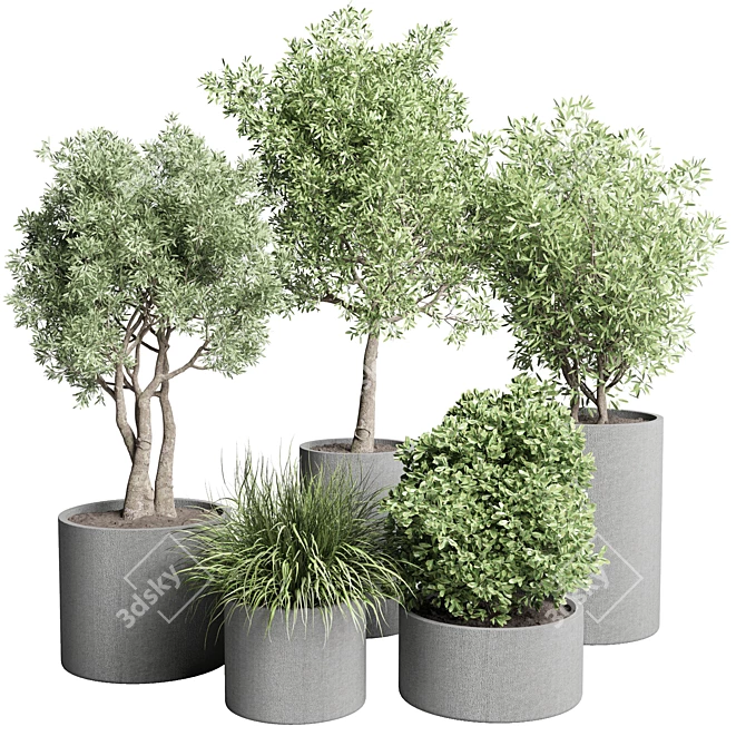 Title: Concrete Vase Pot with Outdoor Tree and Grass Bush 3D model image 1