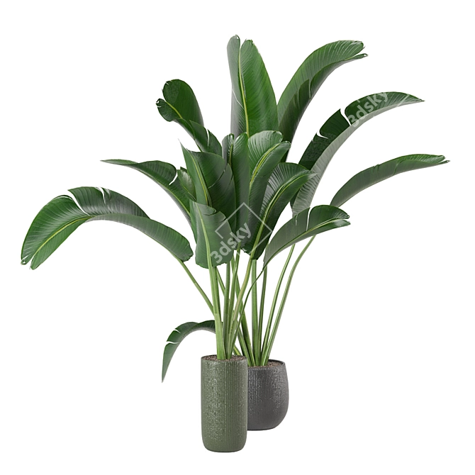 Green Fingers: Indoor Plants Set 3D model image 2