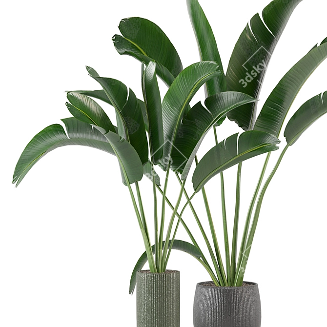 Green Fingers: Indoor Plants Set 3D model image 3