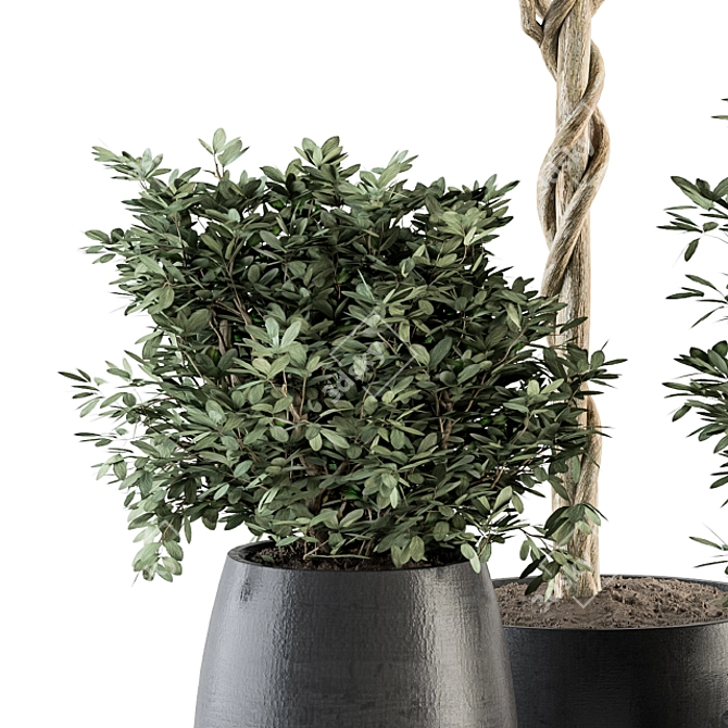 273 Indoor Plant Set - Pot Included 3D model image 3