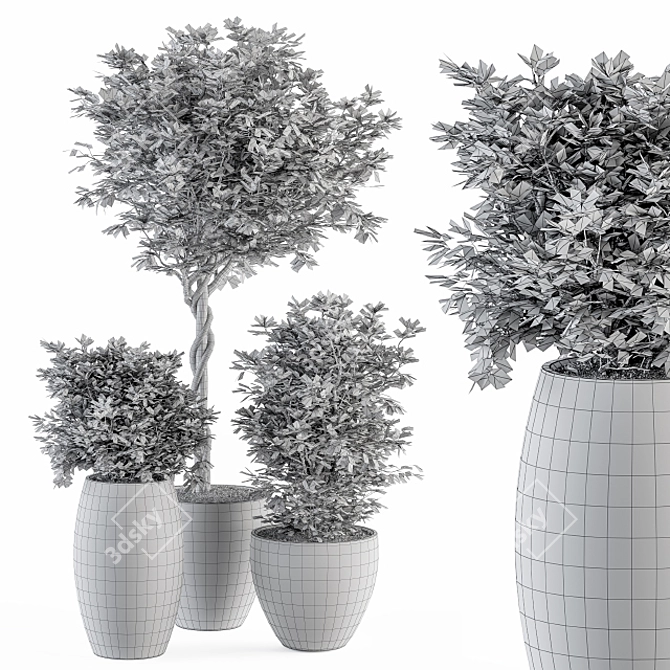 273 Indoor Plant Set - Pot Included 3D model image 5