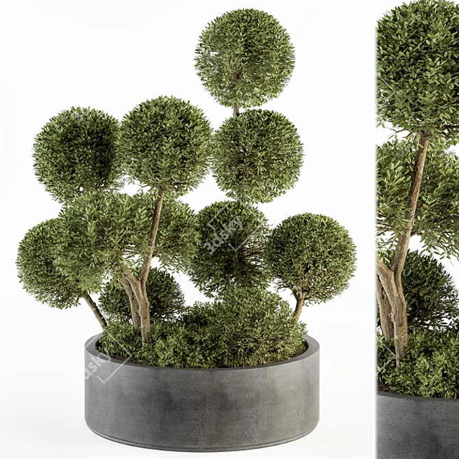 Elegant Topiary Ball Set 3D model image 1