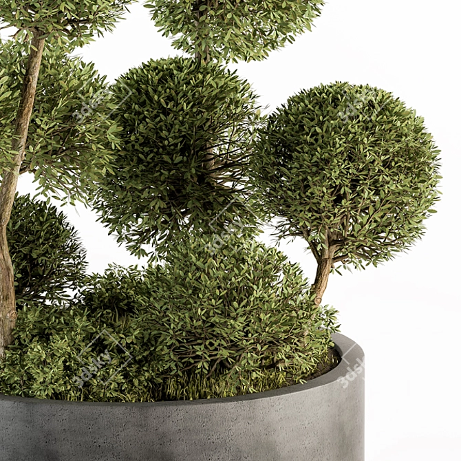 Elegant Topiary Ball Set 3D model image 3