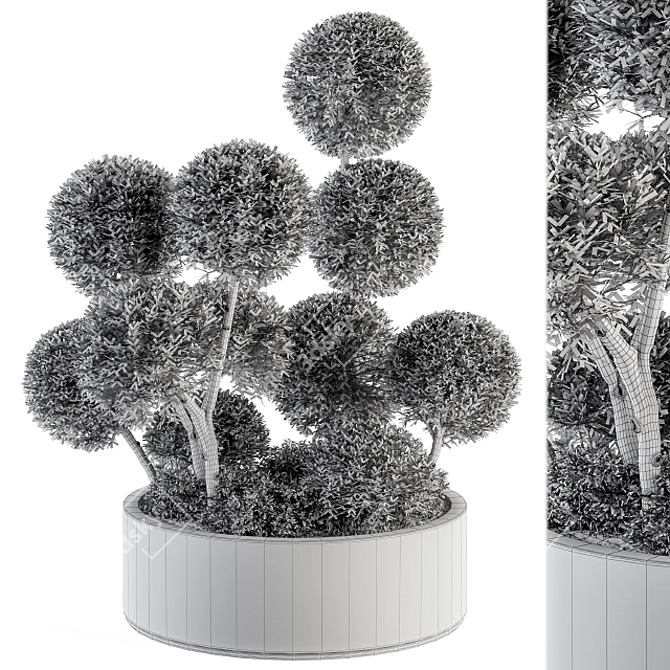 Elegant Topiary Ball Set 3D model image 4