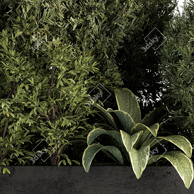 Outdoor Plant Collection 249 - Plant Box 3D model image 2