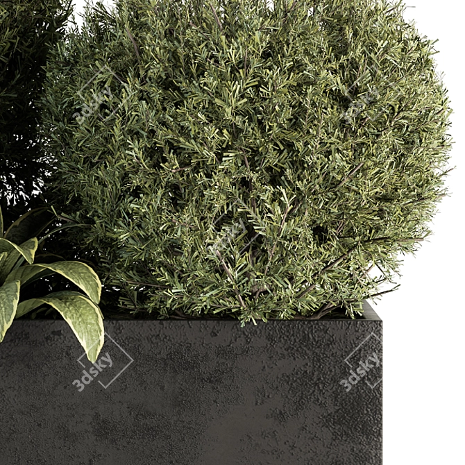 Outdoor Plant Collection 249 - Plant Box 3D model image 4