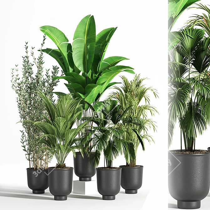 Modern Indoor Plant Set 07 3D model image 4