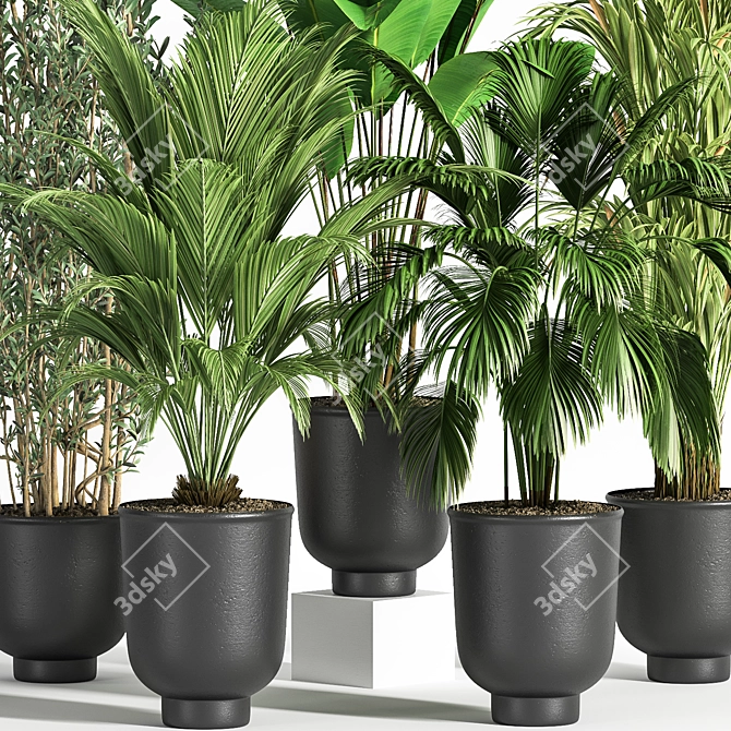 Modern Indoor Plant Set 07 3D model image 5