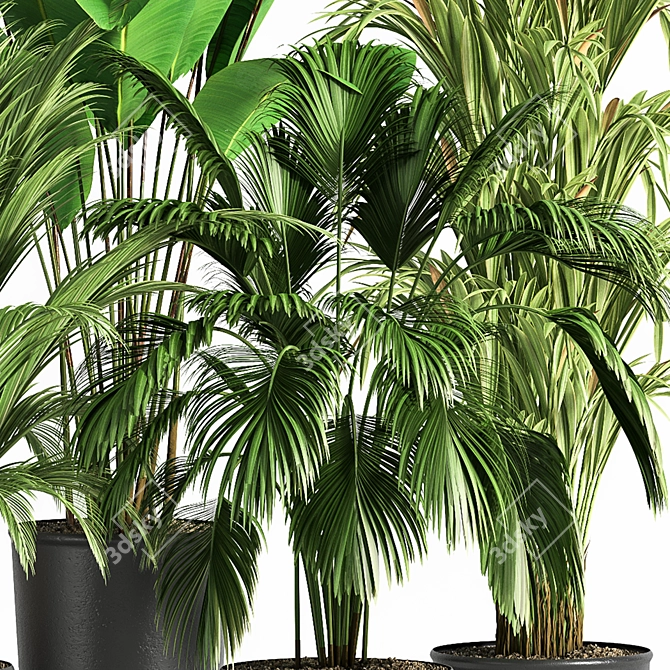Modern Indoor Plant Set 07 3D model image 6