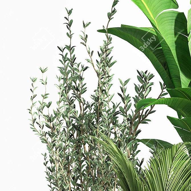 Modern Indoor Plant Set 07 3D model image 1