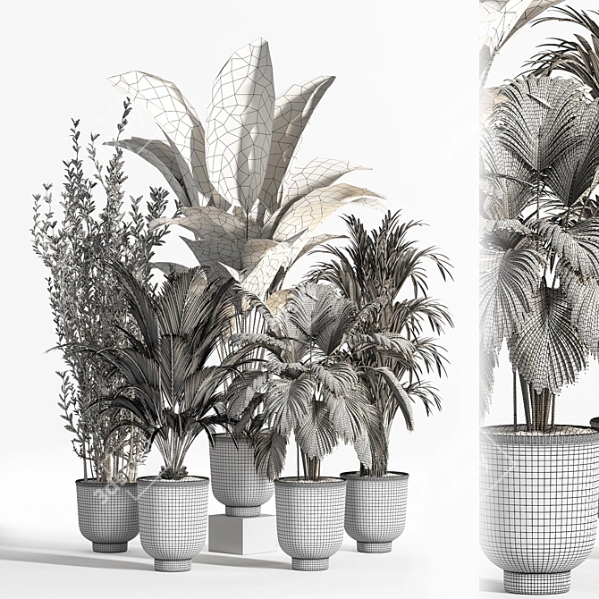 Modern Indoor Plant Set 07 3D model image 3