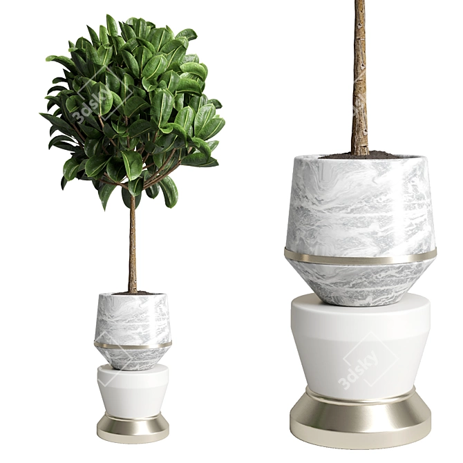 90 Indoor Plant Marble Vase - Ficus Rubbery 3D model image 1