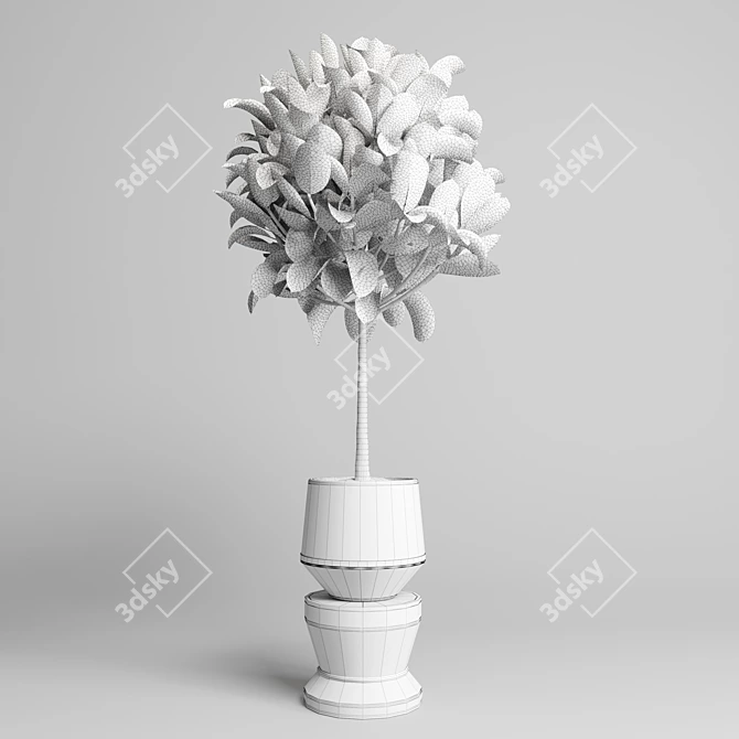 90 Indoor Plant Marble Vase - Ficus Rubbery 3D model image 4