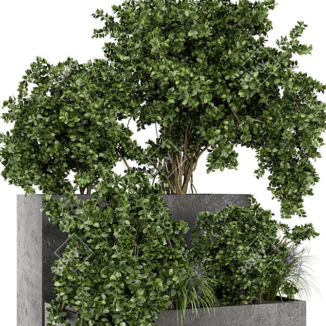 Rustic Outdoor Planter Set in Concrete Pot 3D model image 3